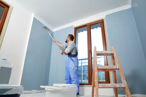 Best Faux Finishing and Decorative Painting  in Macungie, PA